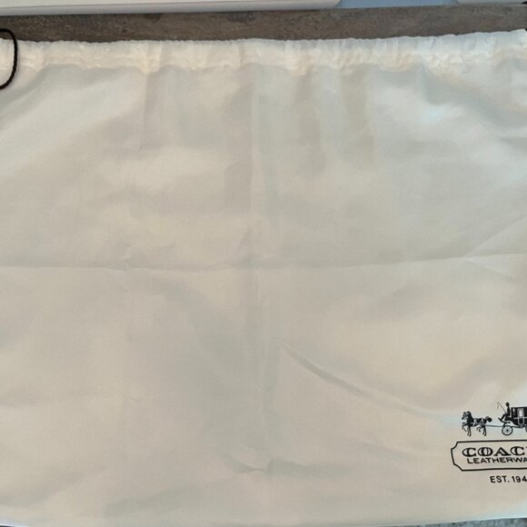 Coach 18694 Chelsea East West Platinum Shimmer Patent Leather Shoulder/Tote Bag - Picture 11 of 11